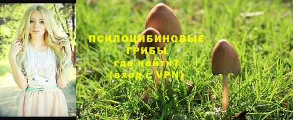 ГАЛЛЮЦИНОГЕННЫЕ ГРИБЫ Алзамай