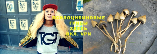 ГАЛЛЮЦИНОГЕННЫЕ ГРИБЫ Алзамай